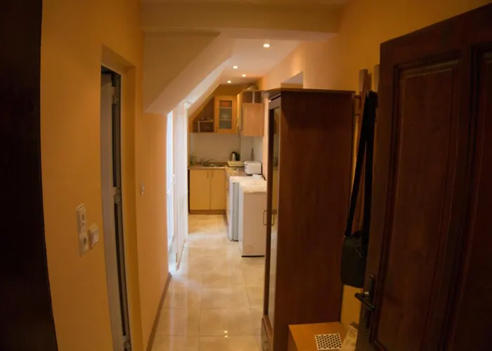 освободител *